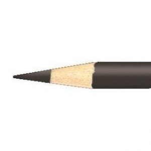 Prismacolor Premier Pencil- Dark Umber